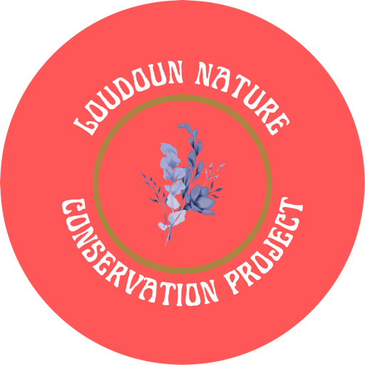 LNCP Logo